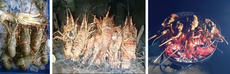 Noche langosta