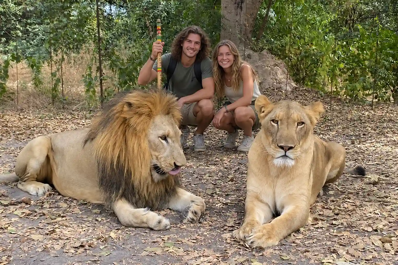 Fathala caminando con leones
